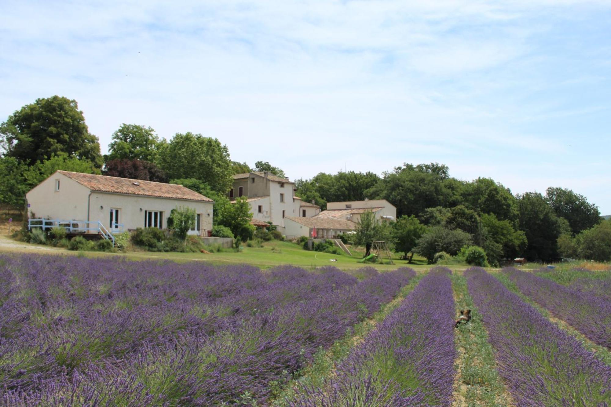 Les Anes De Forcalquier Hotel Buitenkant foto