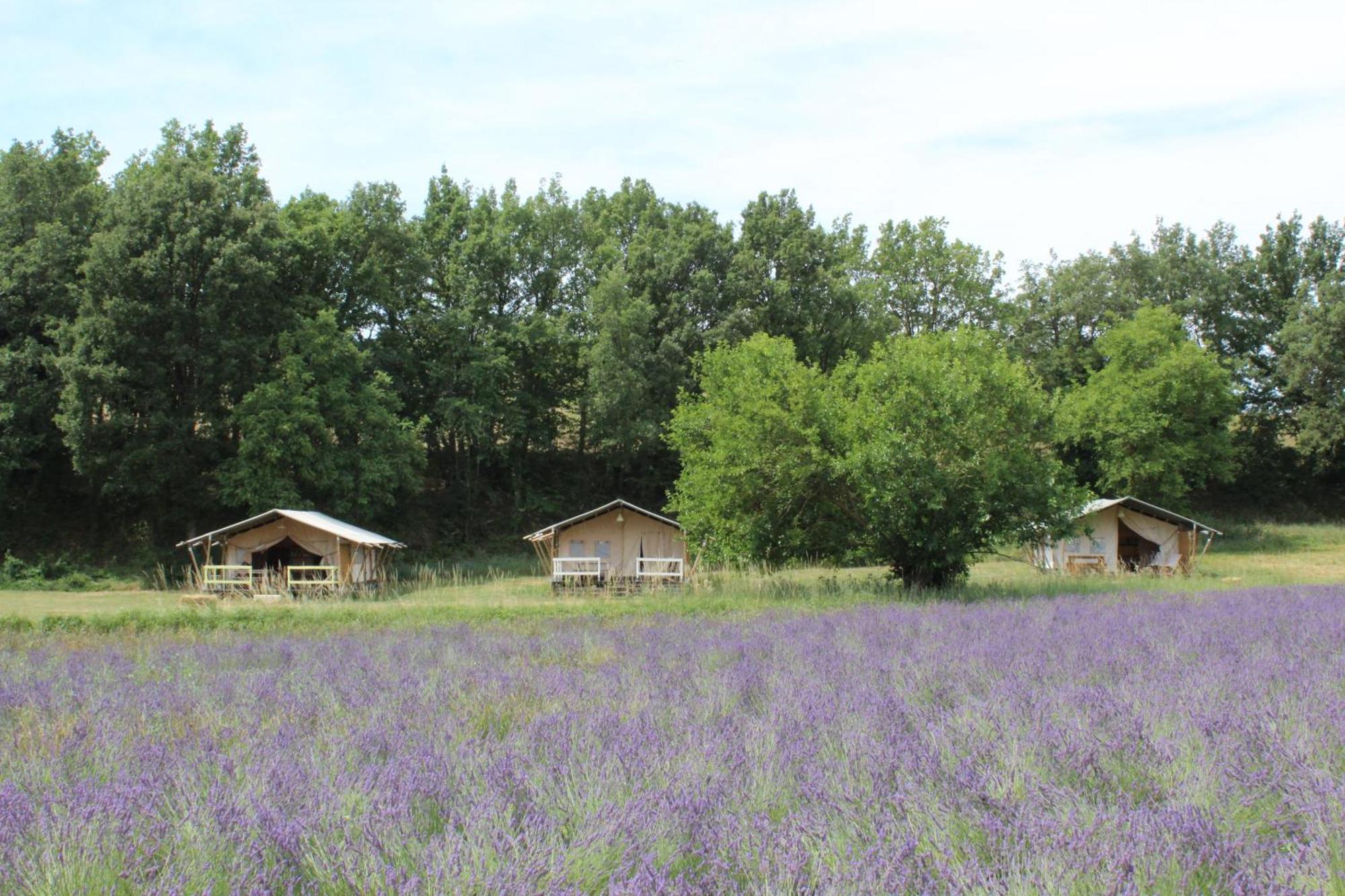 Les Anes De Forcalquier Hotel Buitenkant foto