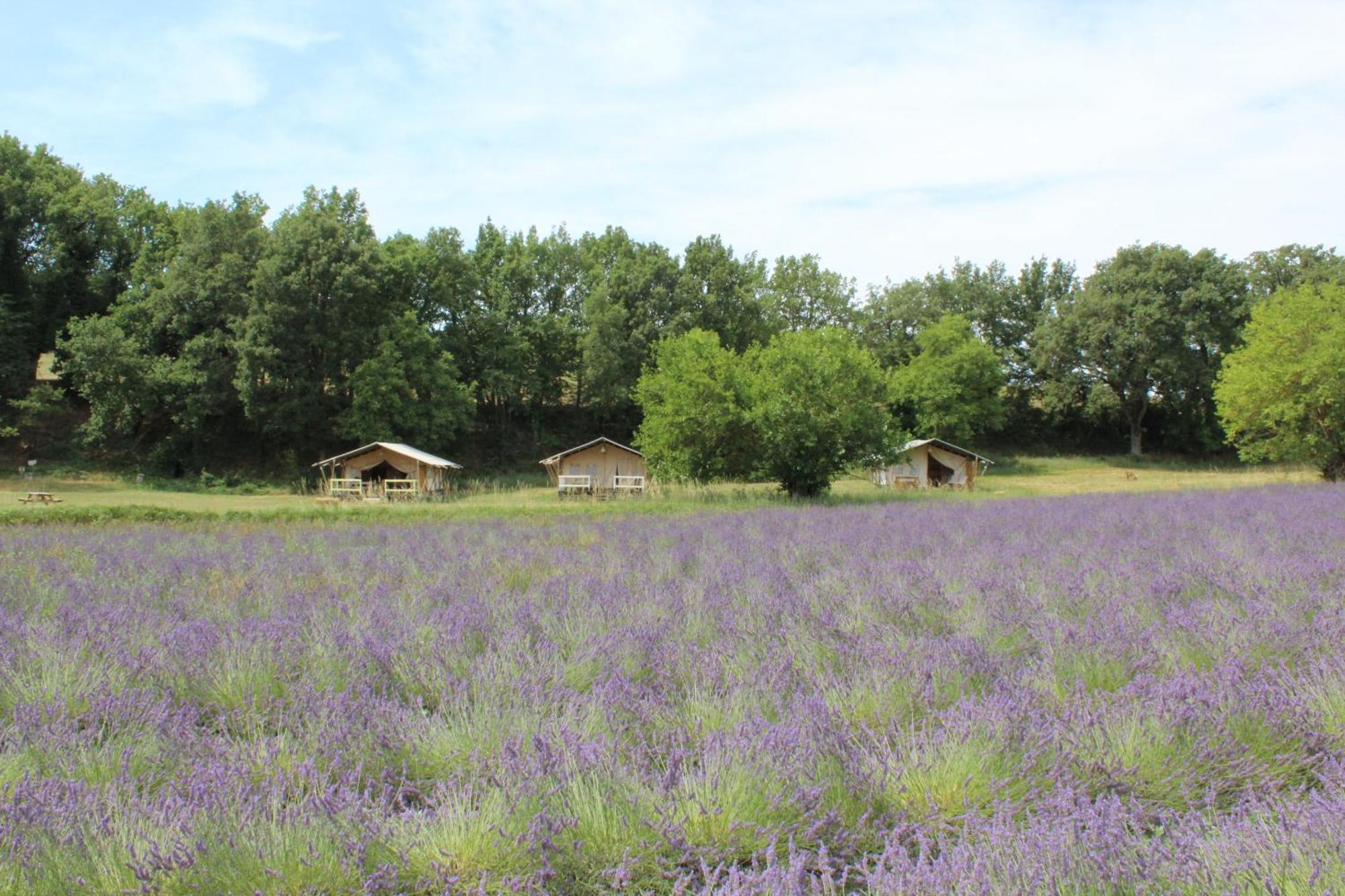 Les Anes De Forcalquier Hotel Buitenkant foto