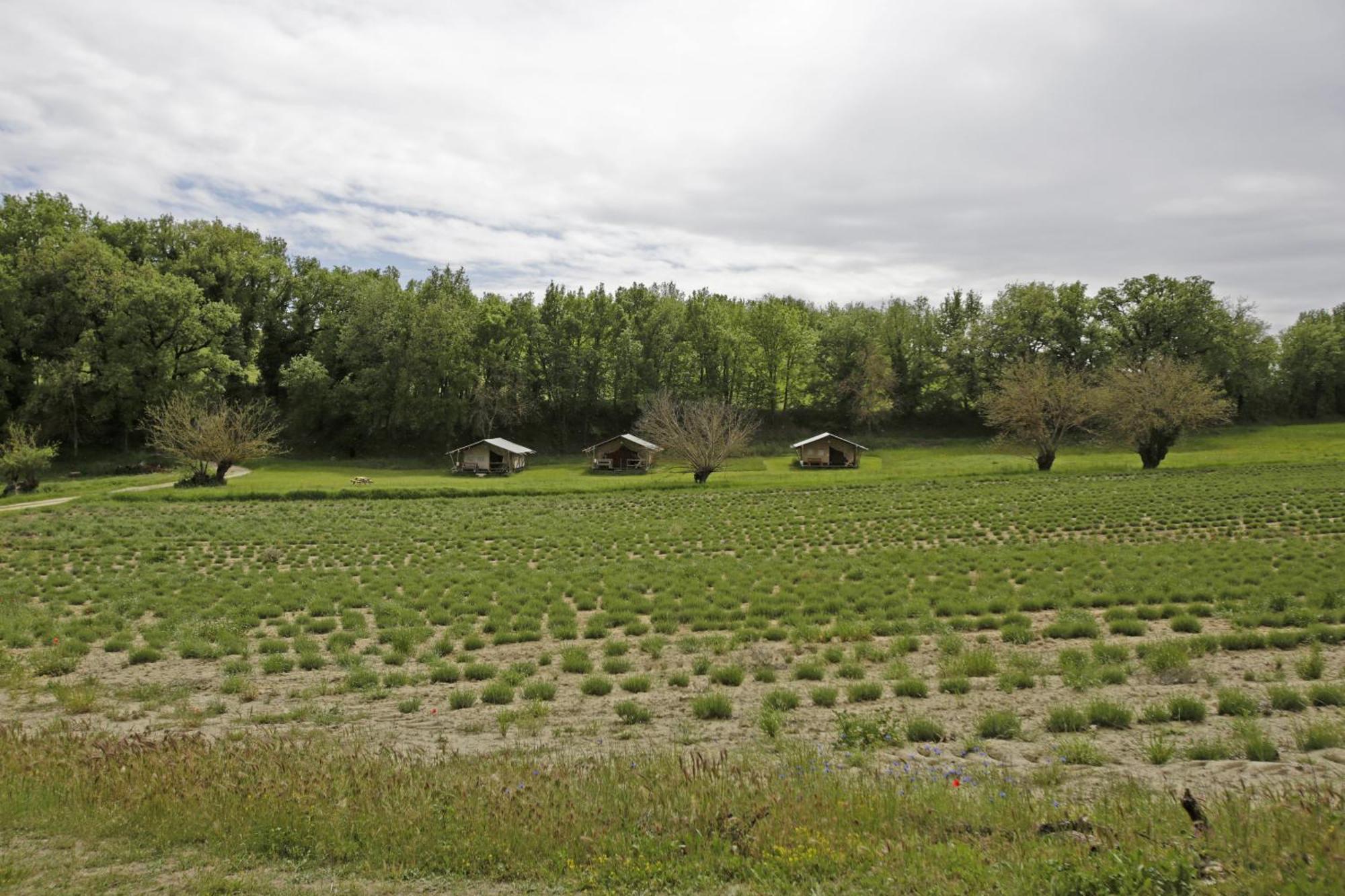 Les Anes De Forcalquier Hotel Buitenkant foto