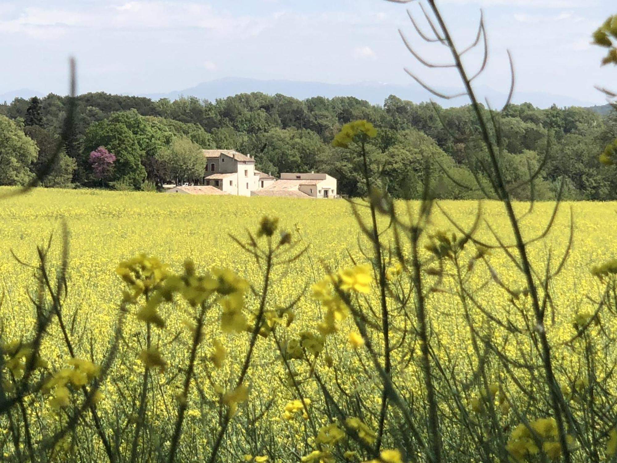 Les Anes De Forcalquier Hotel Buitenkant foto