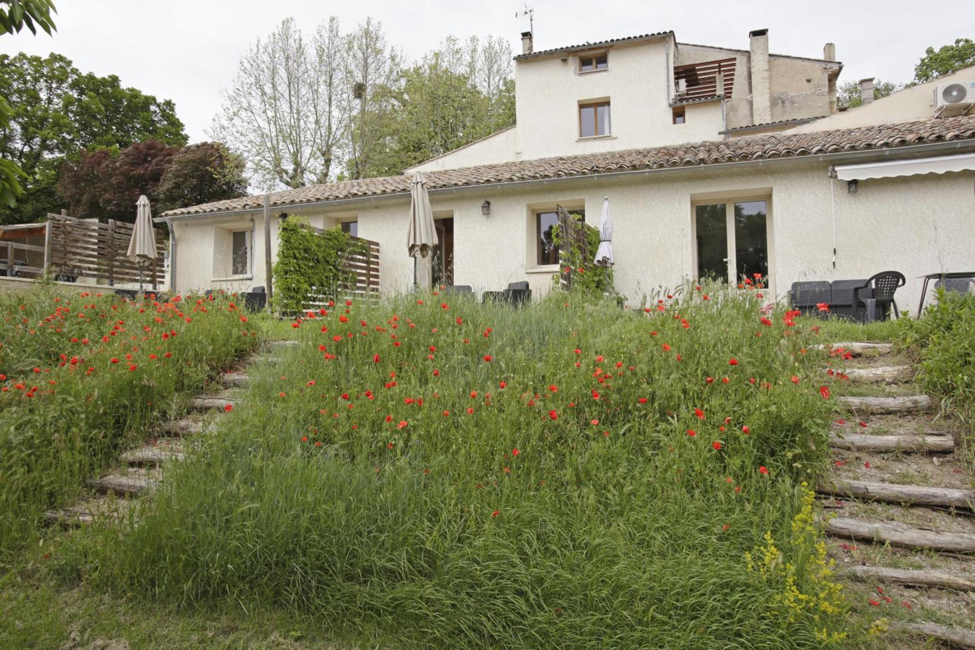 Les Anes De Forcalquier Hotel Kamer foto