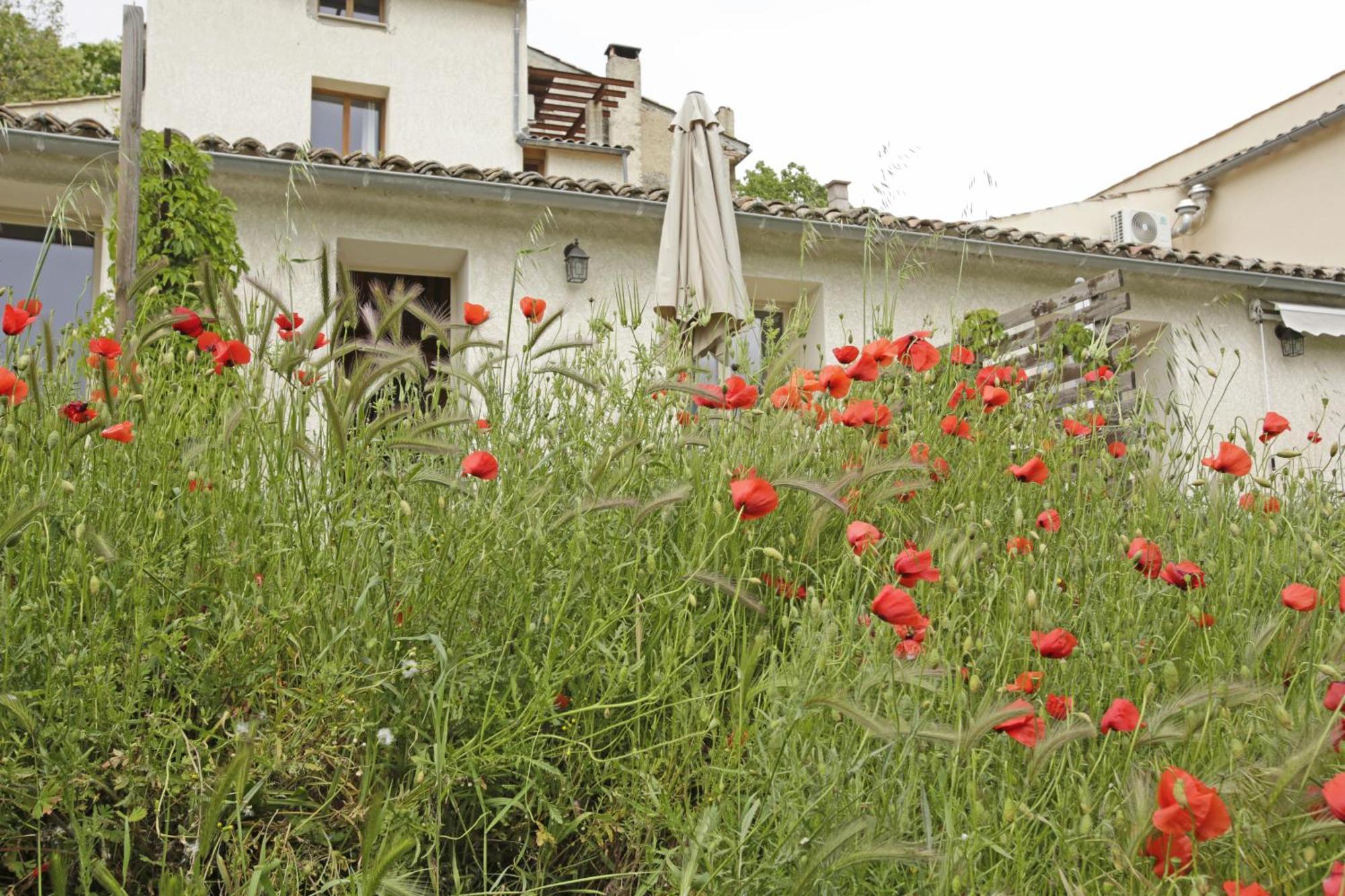 Les Anes De Forcalquier Hotel Kamer foto